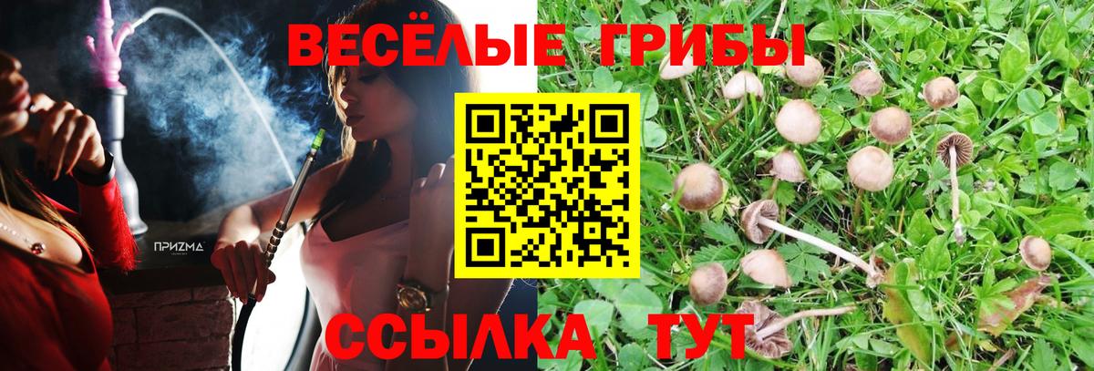 Свободный  Псилоцибиновые грибы мицелий  Вход с VPN 